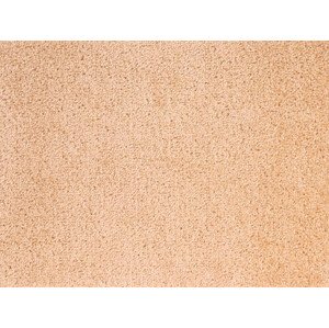 Metrážový koberec Dynasty 70 - Bez obšití cm Aladin Holland carpets