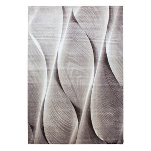 Kusový koberec Parma 9310 brown - 80x150 cm Ayyildiz koberce
