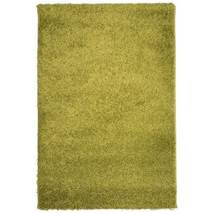 Kusový koberec Efor Shaggy 1903 Green - 80x150 cm Mono Carpet