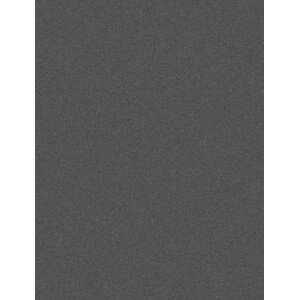 Kusový koberec Lana 0301 927 - 80x140 cm Luxusní koberce Osta