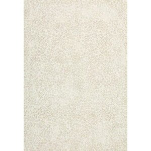 Kusový koberec Piazzo 12268 100 - 160x230 cm Luxusní koberce Osta
