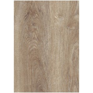 Vinylová podlaha lepená ECO 30 064 Authentic Oak Natural  - dub - Lepená podlaha Oneflor