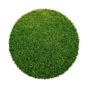 Umělá tráva Botanic kruh - 200x200 (průměr) kruh cm Aladin Holland carpets