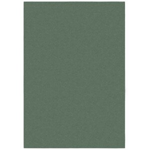 Kusový koberec Softie Lilypad - 200x290 cm Flair Rugs koberce
