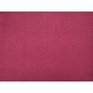 AKCE: 100x200 cm SUPER CENA: Vínový festivalový koberec metrážní Budget - Bez obšití cm Aladin Holland carpets