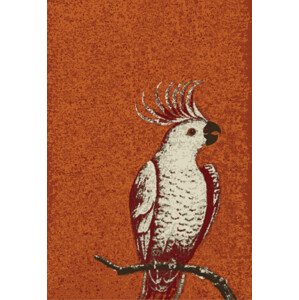 Kusový koberec Kakadu orange - 160x230 cm Alfa Carpets