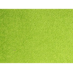 AKCE: 49x200 cm Metrážový koberec Dynasty 41 - Bez obšití cm Aladin Holland carpets