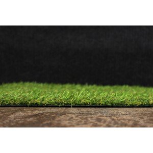 AKCE: 150x250 cm Umělá tráva Robina metrážní - Rozměr na míru cm Aladin Holland carpets