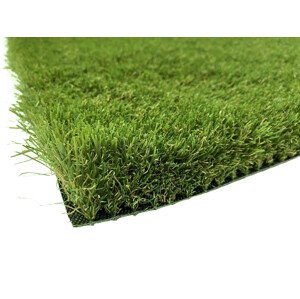 AKCE: 137x500 cm Umělá tráva Daisy metrážní - Rozměr na míru cm Lano - koberce a trávy
