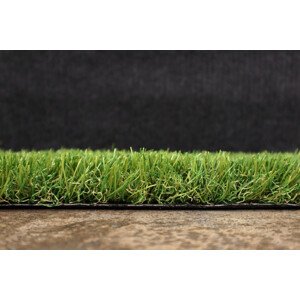 AKCE: 110x190 cm Umělá tráva Rosalia metrážní - Rozměr na míru cm Artificial grass specialists