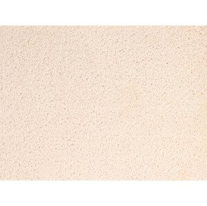 AKCE: 50x420 cm Metrážový koberec Dynasty 60 - Bez obšití cm Betap koberce