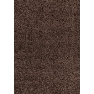 Kusový koberec Dream Shaggy 4000 brown - 80x150 cm Ayyildiz koberce