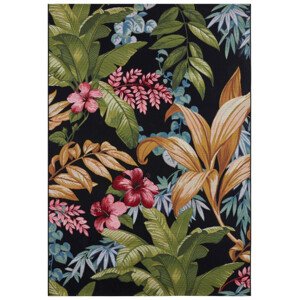 Hanse Home Kusový koberec Flair 105620 Tropical Flowers 80x165 cm